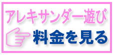 アレキサンダー遊びの料金表を見る