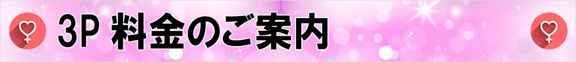 3P料金のご案内