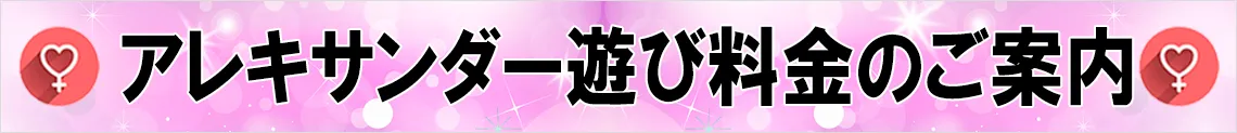 アレキサンダー遊び料金のご案内