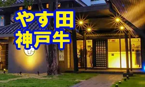 やす田