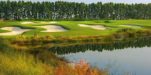 アヨダヤ・リンクス