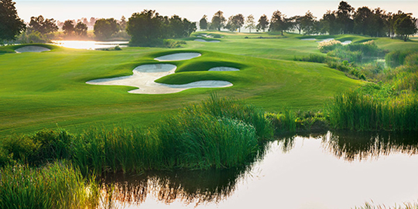 アヨダヤ・リンクス