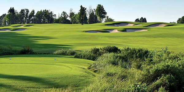 アヨダヤ・リンクス