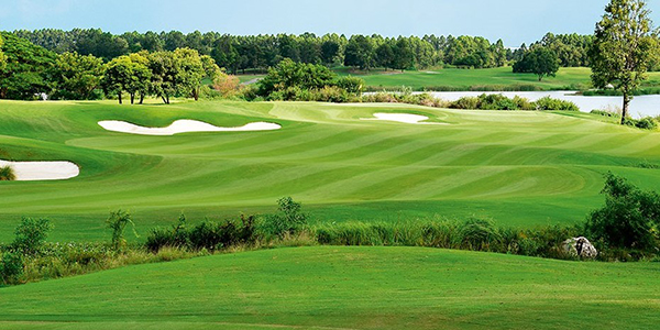 アヨダヤ・リンクス