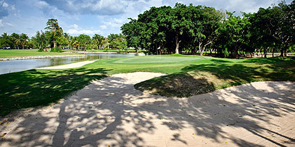 スパープルック・ゴルフクラブ