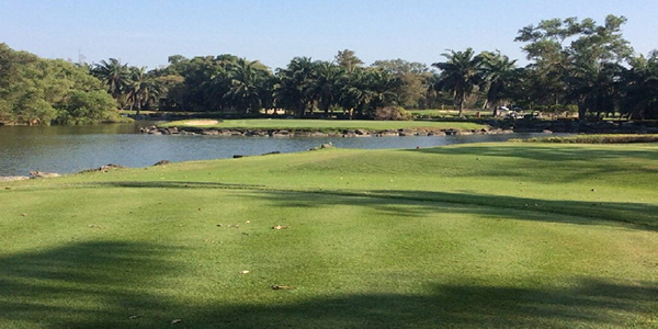 スパープルック・ゴルフクラブ