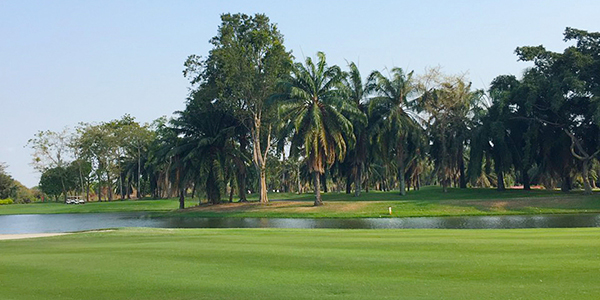 スパープルック・ゴルフクラブ